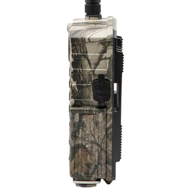 Фотоловушка Scout Guard BG310-M-18mHD